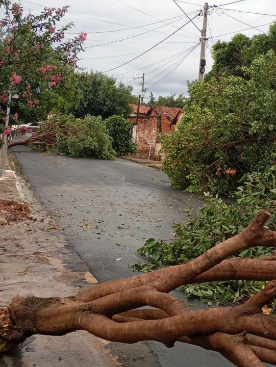 Foto 21 de 40 — Veja fotos do cenário em Boa Esperança do Sul após forte temporal